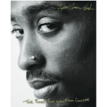The Rose That Grew from Concrete - Hardcover