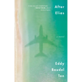 After Elias - Paperback
