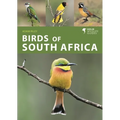 Birds of South Africa - Paperback