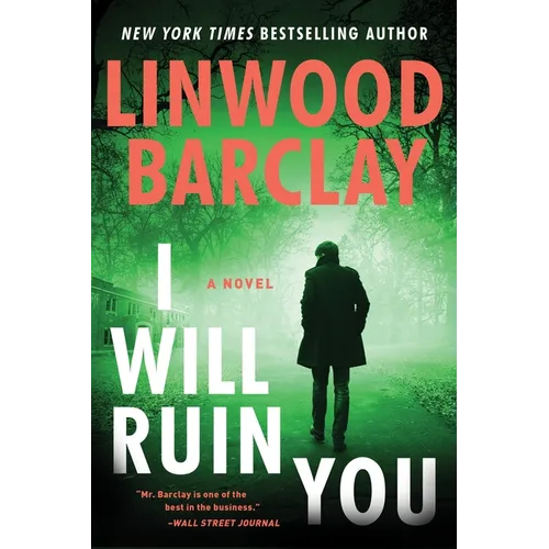 I Will Ruin You - Hardcover