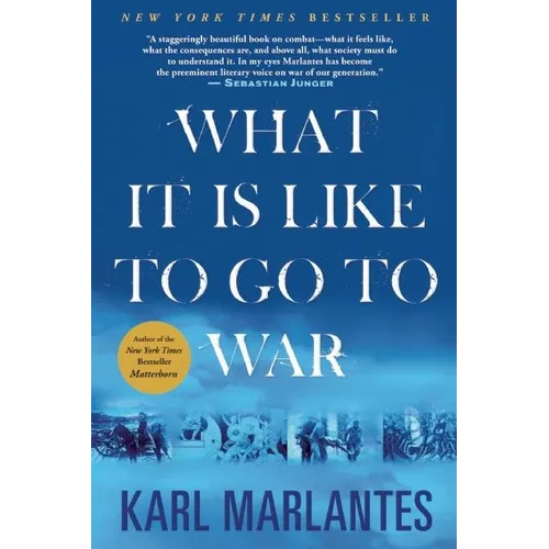 What It Is Like to Go to War - Paperback
