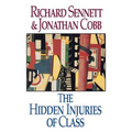 The Hidden Injuries of Class - Paperback