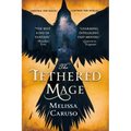The Tethered Mage - Paperback