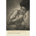 The Afterlife Is Letting Go - Paperback